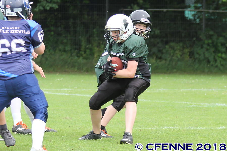 20180616hld-oldenburg114.jpg