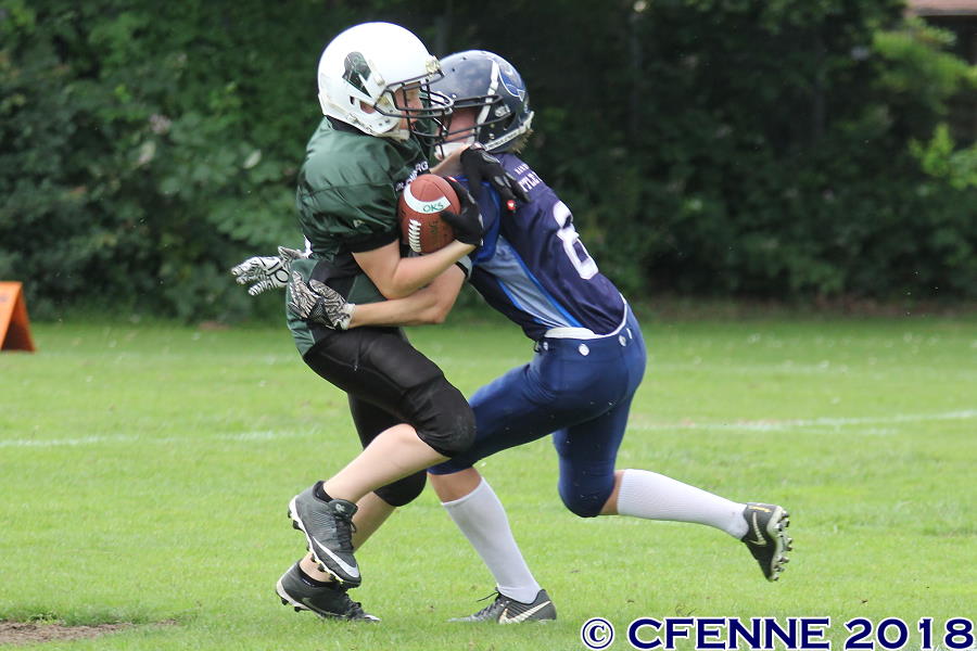 20180616hld-oldenburg460.jpg