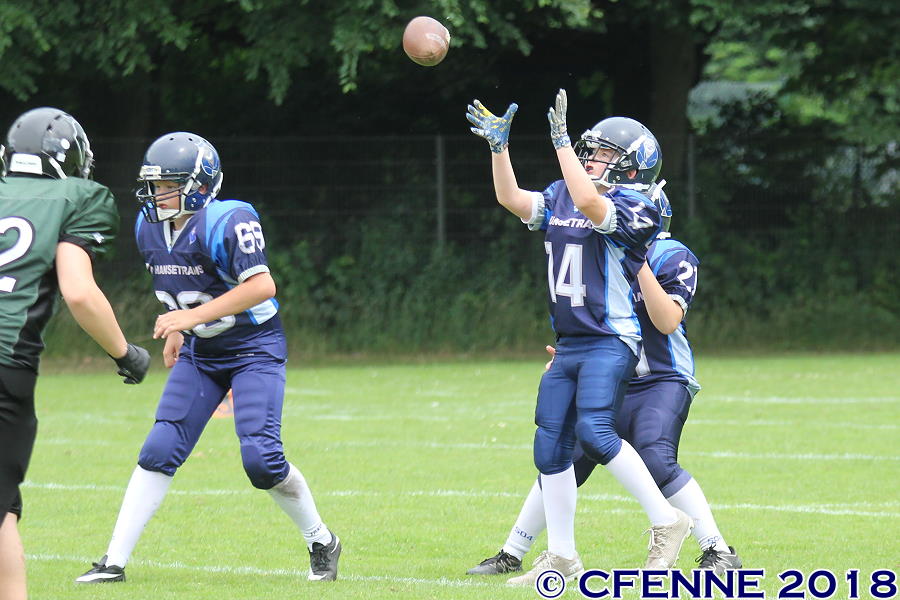 20180616hld-oldenburg480.jpg