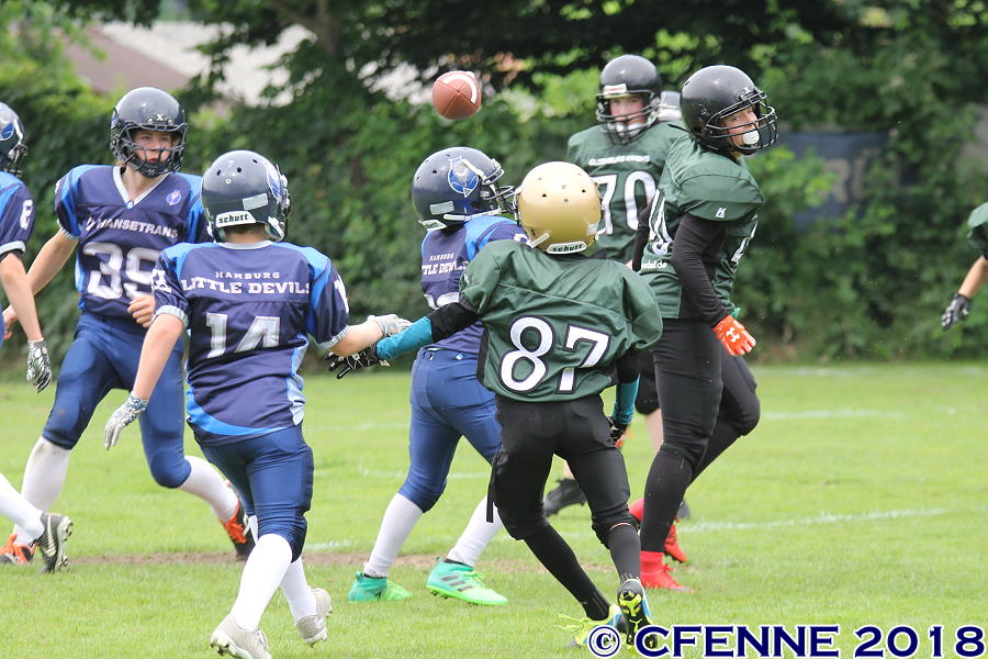 20180616hld-oldenburg495.jpg