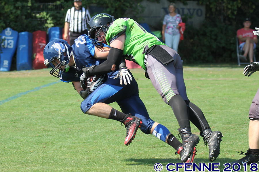 20180722hbdpro-buxtehude0722.jpg