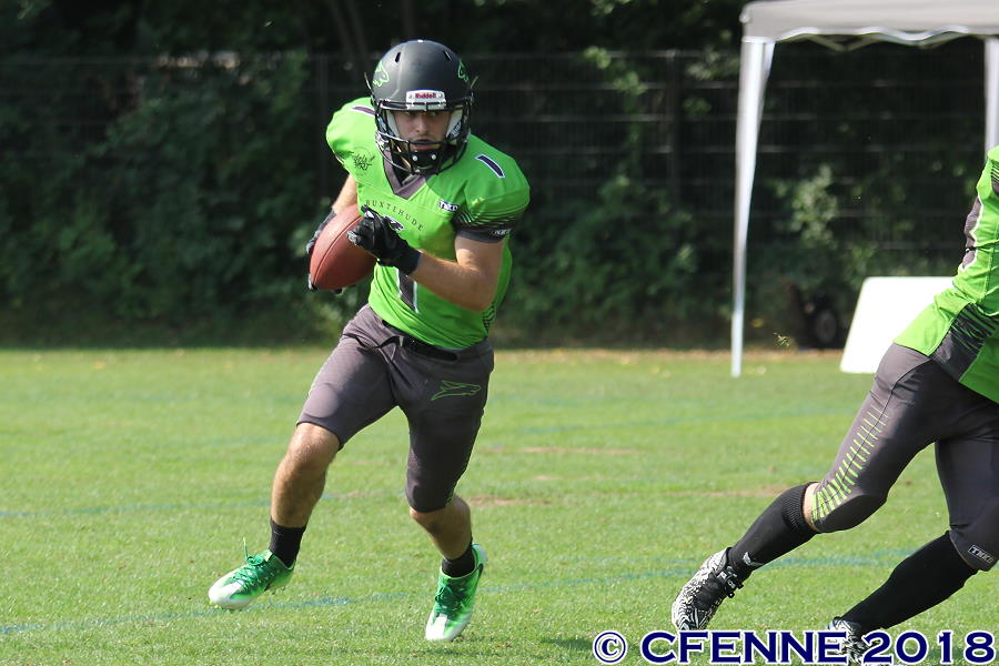20180722hbdpro-buxtehude1035.jpg