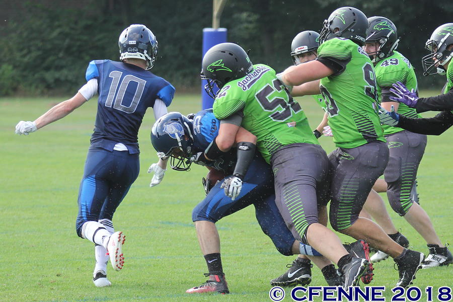 20180722hbdpro-buxtehude1076.jpg