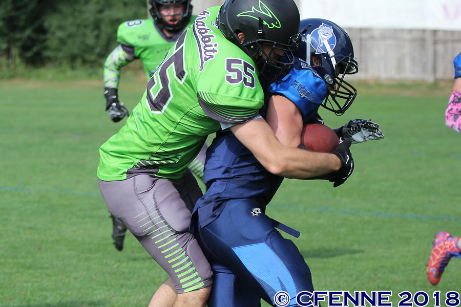20180722hbdpro-buxtehude1369.jpg